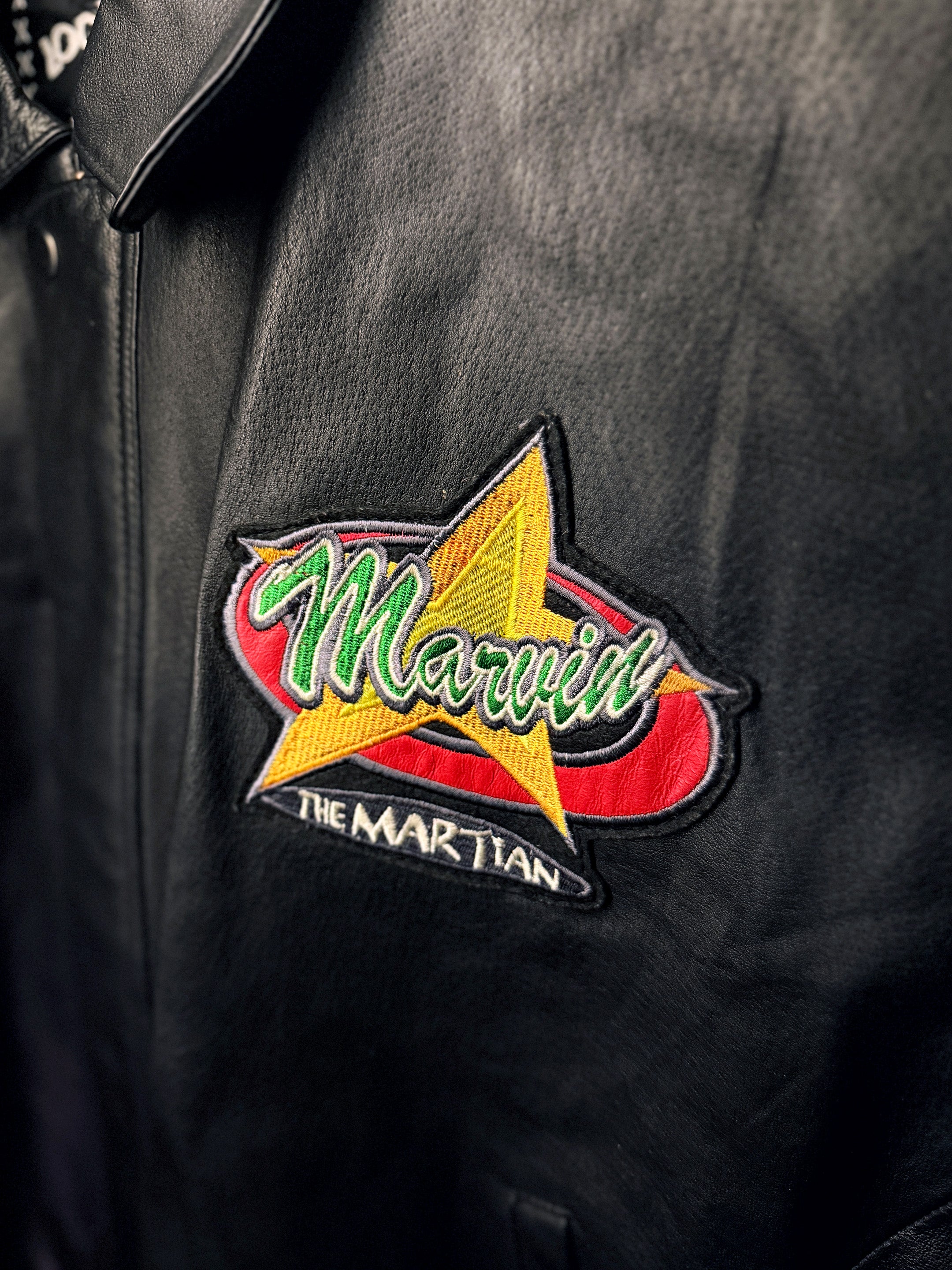 Marvin The Martian_Looney Tunes_Leather Bomber Jacket (XL)