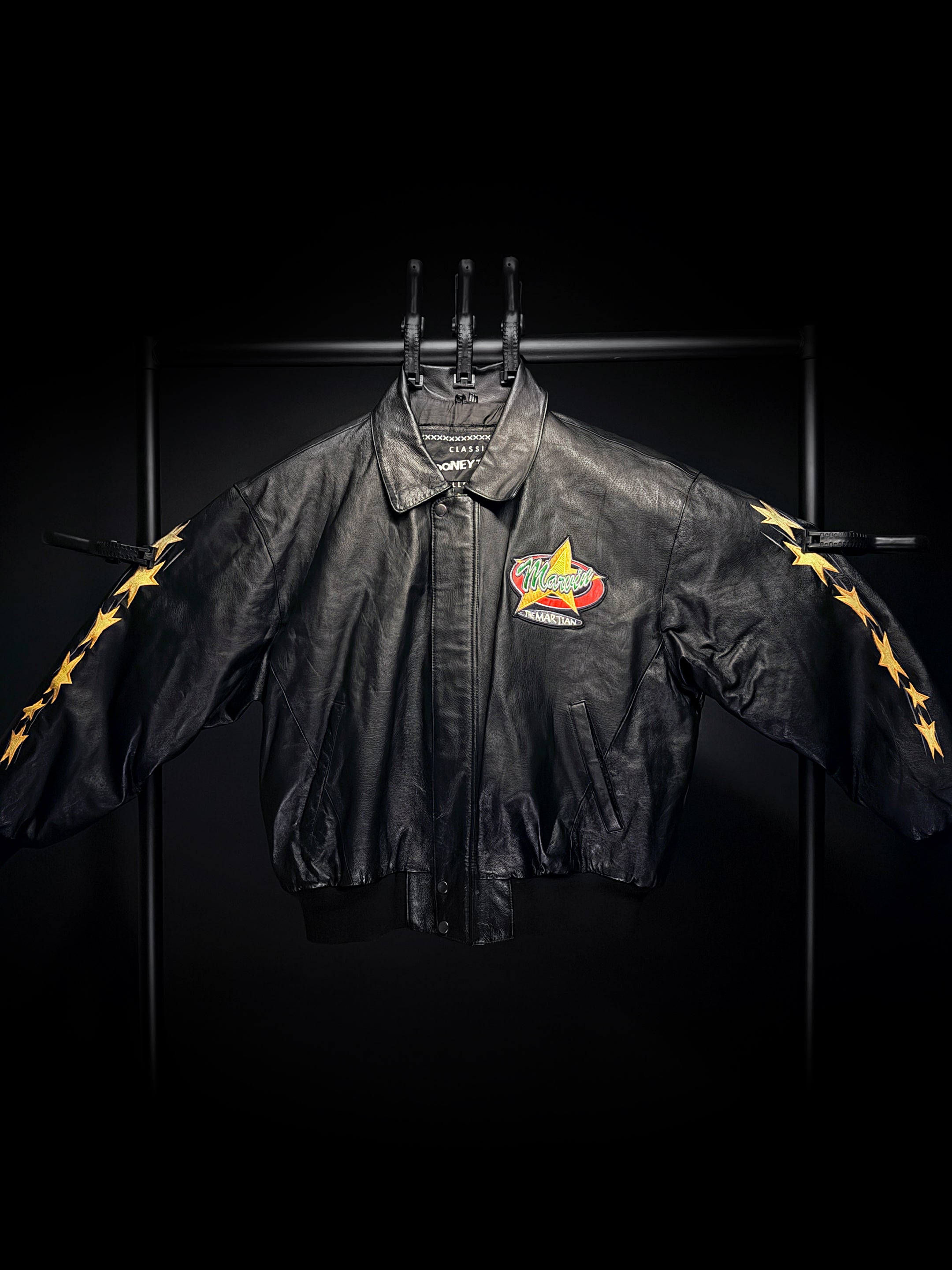 Marvin The Martian_Looney Tunes_Leather Bomber Jacket (XL)