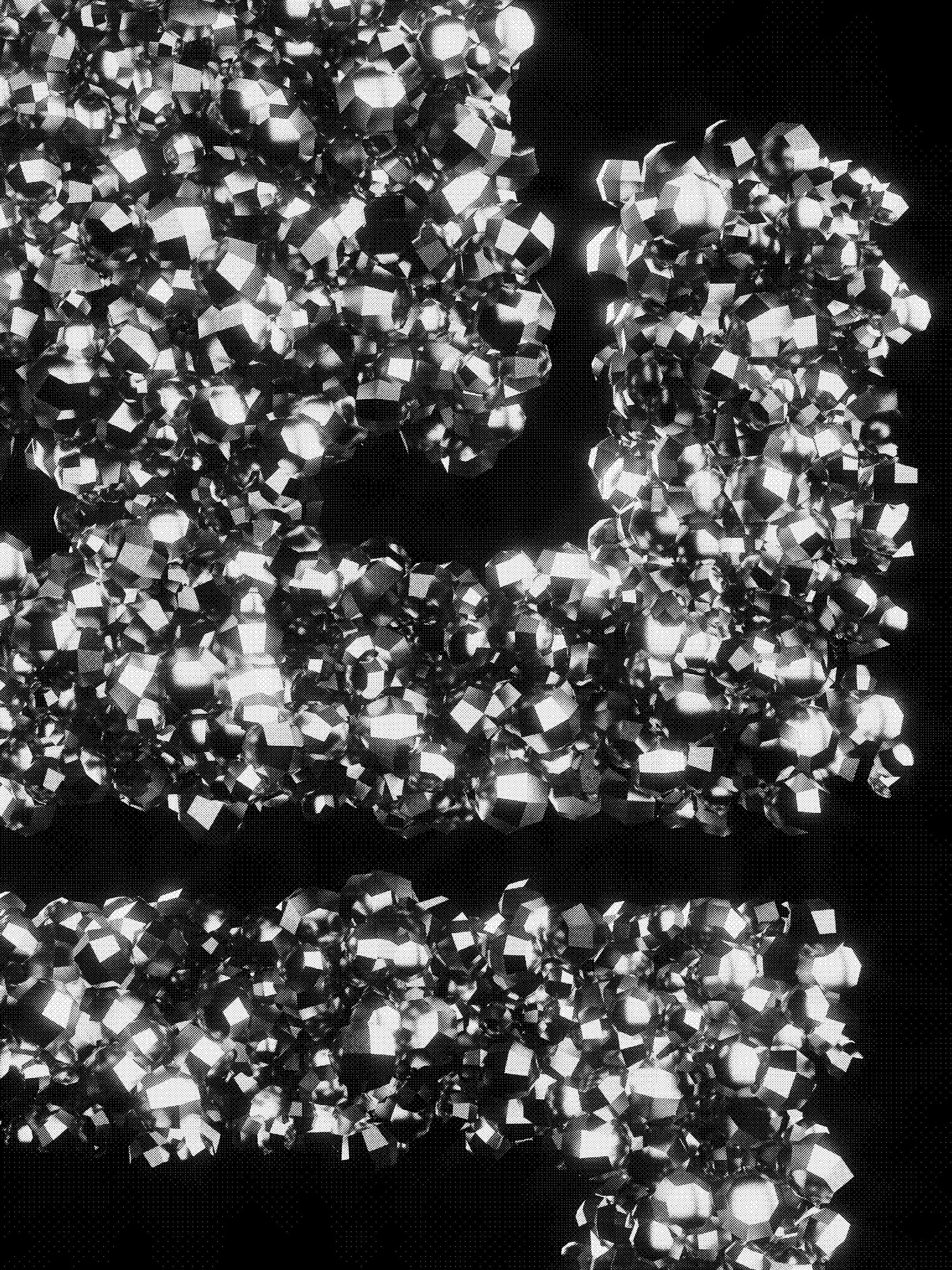 BASICS RECORDS_BLING TEE